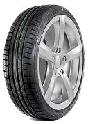 Летние шины 245/40 R19 Delinte DS7 Sport 98Y XL 