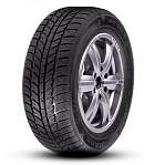 Зимние шины 195/45 R16 Roadx (by Sailun) Frost WH01 84H XL  