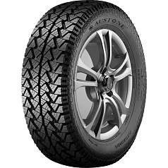 Летние шины 31/10,5 R15 Austone SP-302 109S