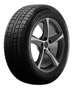 Шины Nitto NT90W