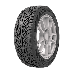 Шины 205/55 R16 Petlas Glacier W661 91T