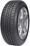 205/65 R16 Evergreen EW62 95H 